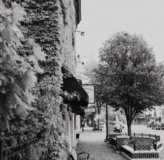 Greenville Hotel | The Winter Inn