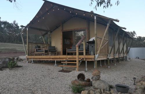 Costerfield Other | the YellowBoxWood Heathcote - Echidna Ridge and Emu Valley Tents x 2