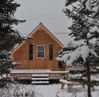 Birch Plain Other | The Zzzz Moose Camping Cabins