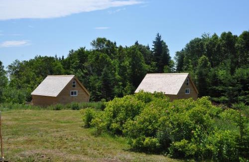 Birch Plain Other | The Zzzz Moose Camping Cabins