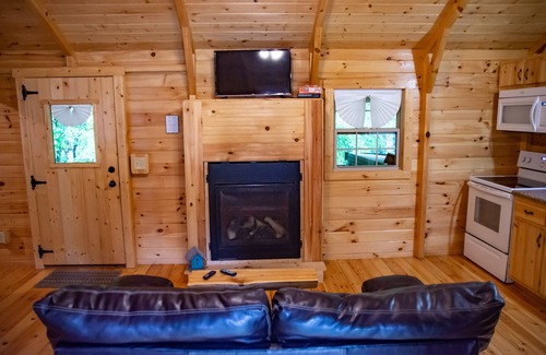 Carbon Hill Cabin | This Cabin will have you Bird watching