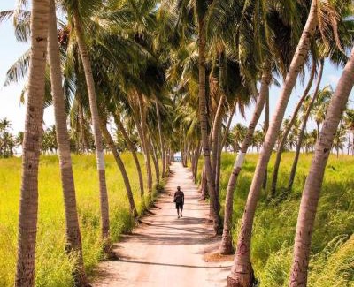 Thoddoo House | Thoddoo Cozy Stay