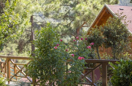 Spilia Ski Chalet | Three charming log cabins in a gated property at the beautiful Troodos mountain r