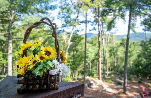 Hidden Lake House | Three Loves Cabin - Three Loves Cabin - Cherry Log GA - Hot Tub, Fire Pit