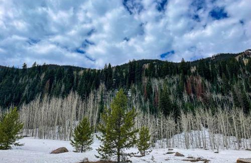 Vail Apartment | Timber Falls Hideaway