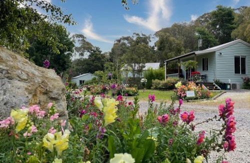 Foster House | Tindoona Cottages