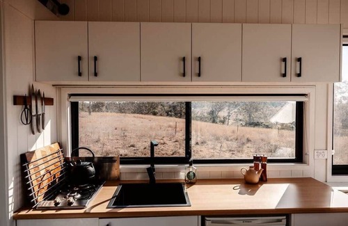 Haden Cabin | Tiny Charlie Summary: