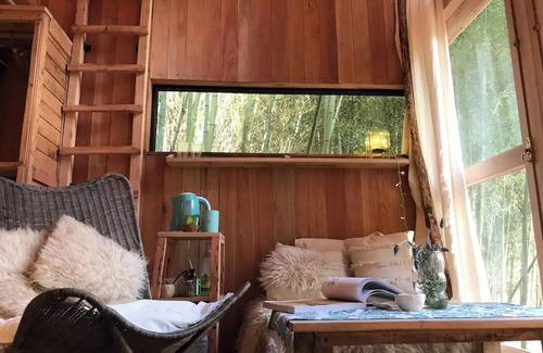 Canning Apartment | Tiny House dream close to airport