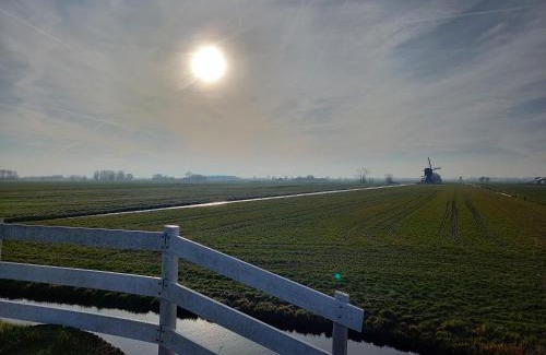Streefkerk House | Tiny house het Polderhuisje