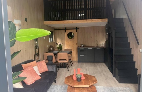 Biddinghuizen House | Tiny House with sleeping loft and terrace