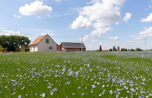 Werken House | Toetindroaj