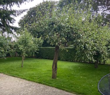Tonder Villa | Toghale