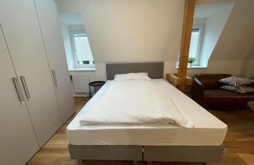 Rapperswil Apartment | Tolles Studio im Zentrum von Rapperswil