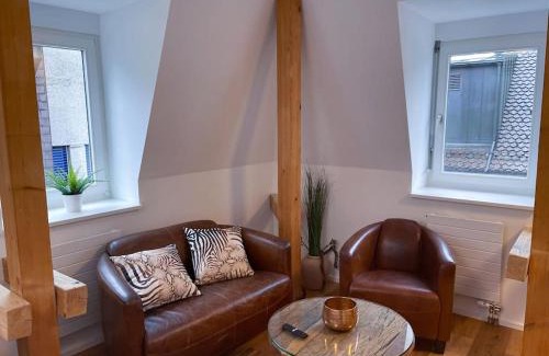 Rapperswil Apartment | Tolles Studio im Zentrum von Rapperswil