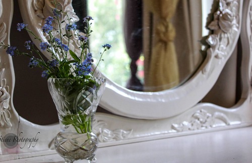 Mount Tomah Bed & Breakfast | Tomah Retreat, RELAX with Fireplace and Garden Sauna near Botanic Gardens, Next to the Botanical Gar