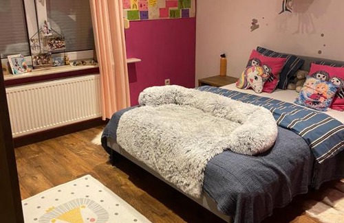 Boom Villa | Tommorowland guesthouse