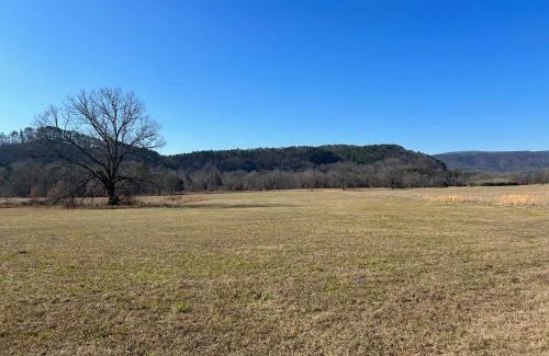Pelsor Other | Toms Branch Campground