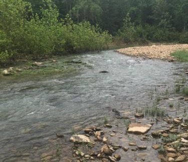 Pelsor Other | Toms Branch Campground
