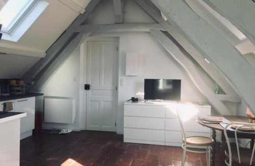 Tonnerre Apartment | TONNERRE grand studio de charme au coeur de la ville