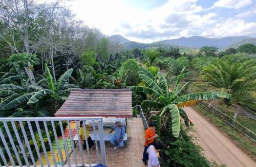 Hat Yai Apartment | TonNgaChang -Les Cat Cocoa Farmstay