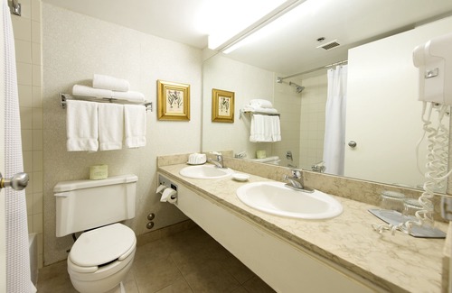 Wynford-Concorde Hotel | Toronto Don Valley Hotel and Suites