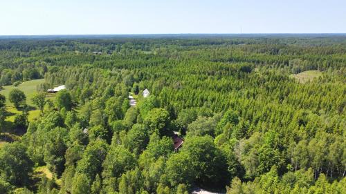 Hallaryd House | Torsholma Skolhus
