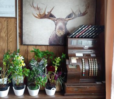 Nipigon Hotel | Town and Country Motel