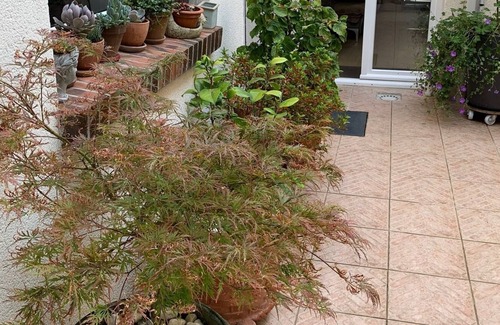 Chateaudun-Bannier House | Town house with patio near historic center