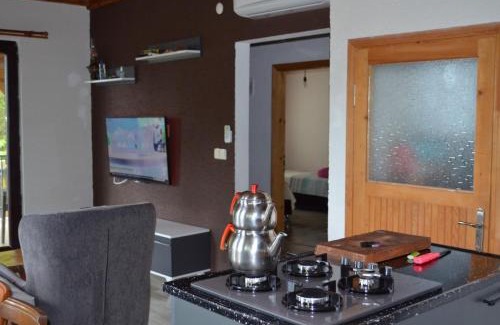 Akcaabat Villa | Trabzon green valley villa