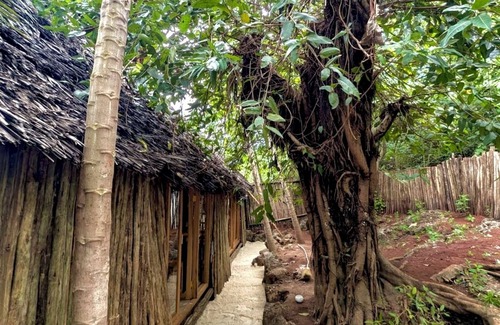 Tunguu House | Traditional Charming 4-bedroom house in Zanzibar with WiFi and garden