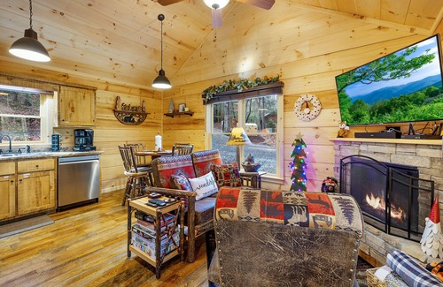 Blue Ridge Cabin | Trail Side Retreat, great cabin for small family vacation, honeymoon, or peacefu