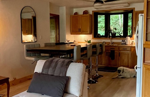 Chalk River House | Tranquil Home w/27 Acres of Private Forest Trails. Dog Heaven!