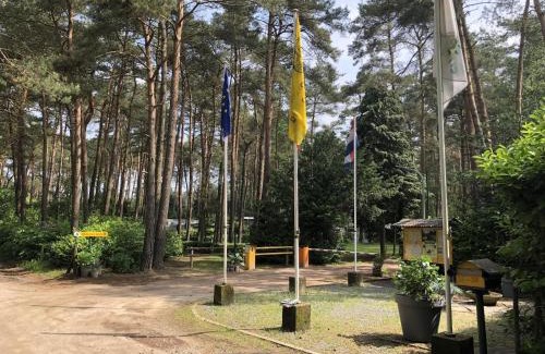 Wechelderzande Ski Chalet | Tranquil pine forest chalet in Antwerp Kempen