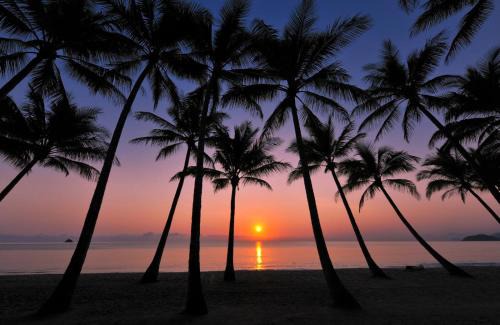 Palm Cove Apartment | Tranquility Relax Palm Cove