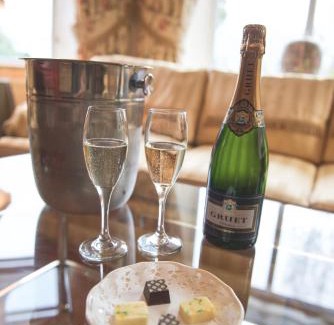 Llangefni Hotel | Tre-Ysgawen Hall & Spa