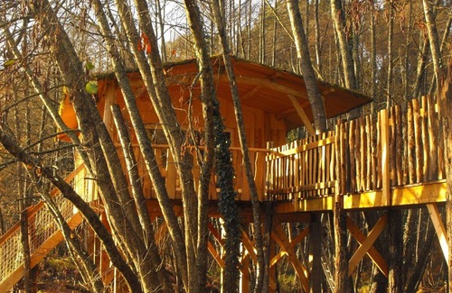 Allons Cabin | Tree house