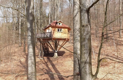 Solling Apartment | Tree house Kobel, living/sleeping room - Baumhaushotel Solling