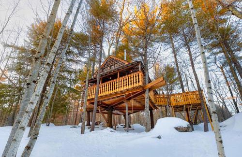 Mount Sunapee House | Tree House Rental Ideal for a Unique Getaway near Lake Sunapee in New Hampshire