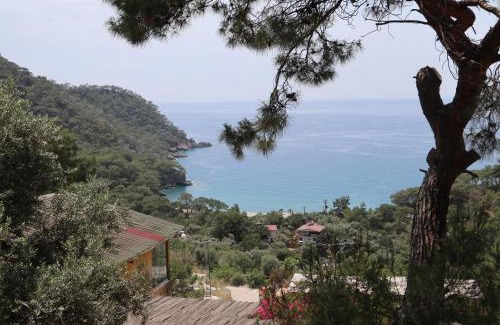 Kabak Valley Hotel | Tree Houses Hotel