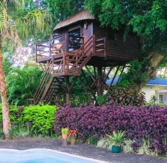 Centre de Flacq Cabin | Tree Lodge Mauritius