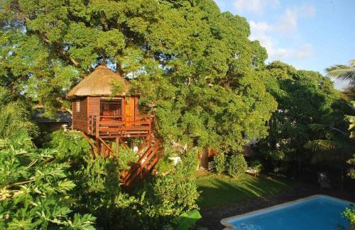 Centre de Flacq Cabin | Tree Lodge Mauritius