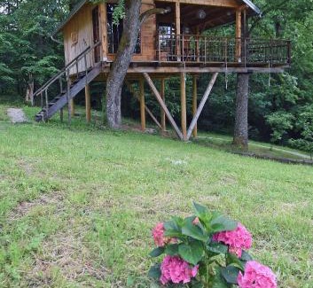 Cvetkovic Cabin | Treehouse Resnice -Mrežnica