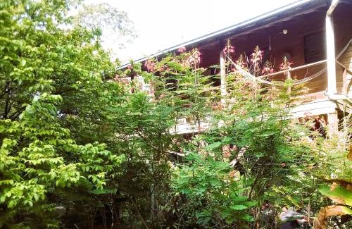 San Ignacio Apartment | Treetop Jungle Like Escape in San Ignacio Your Belize Oasis Awaits