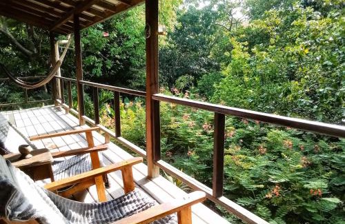 San Ignacio Apartment | Treetop Jungle Like Escape in San Ignacio Your Belize Oasis Awaits