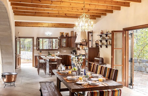 Pedhoulas Villa | Troodos Mature Pine Chalet