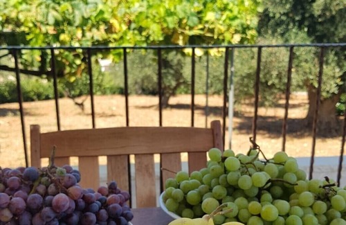 Ostuni Villa | Trullo Maria Leo, beautiful holiday villa and large private swimming pool