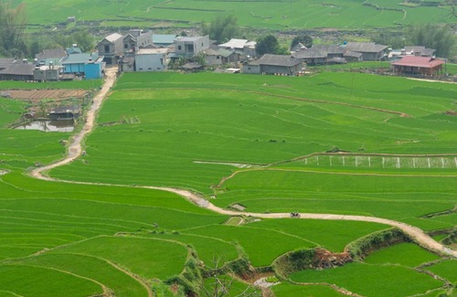 Tram Tau House | Truong Nhan Tram Tau Homestay