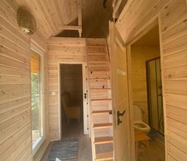 Suprasl House | Trzy sosny