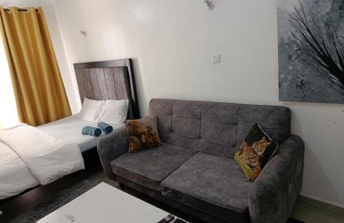 Embakasi Bed & Breakfast | Tsavo studio