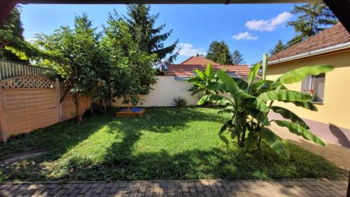 Kiskunhalas Apartment | Tuba Apartman